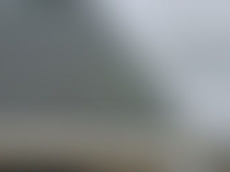 How to Remove Moss from Roof Missoula Safely | Soft Wash Guide