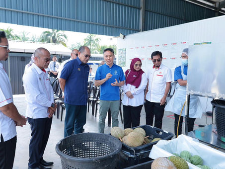 KKM Working Visit to Five Stars Fruits Highlights Commitment to Food Safety and Quality