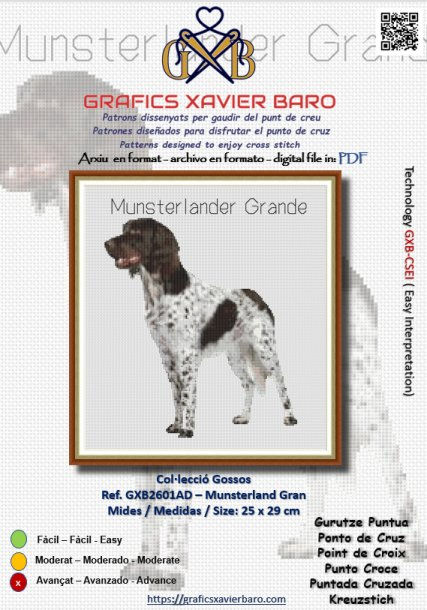 Ref. GXB2601AD - Munsterlander Gran