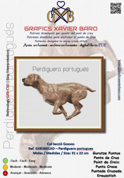 Ref. GXB2601AD - Perdiguero portugués