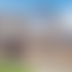 Improving Curb Appeal for the Summer