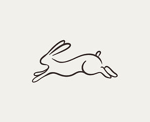 EBMC Logo Jumping Bunnie smaller_edited.