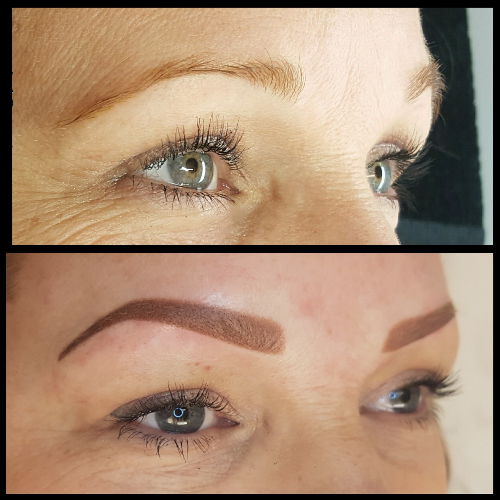 Powderbrows