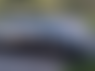 véhicule de société