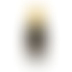 "Reviving the Sunnah of Black Musk."