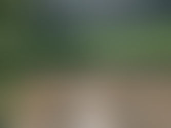 Understanding Menses; Its Definition, Function in the Body, & Islaamic Rulings 