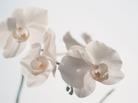 Choose Your Words… You Can’t Take Them Back.