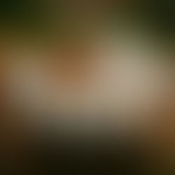 In Just Five Minutes…