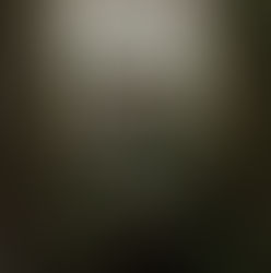 December 2020 in leto 2021