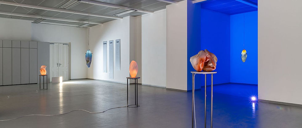 Natalia Domínguez Rangel: Wet Noise - Ausstellung