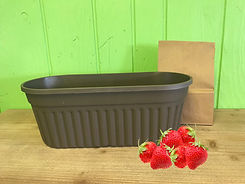 Strawberry Grow Kit