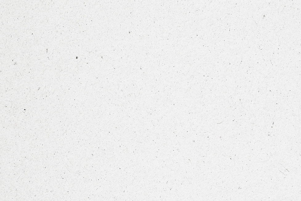 Paper Texture_edited.jpg