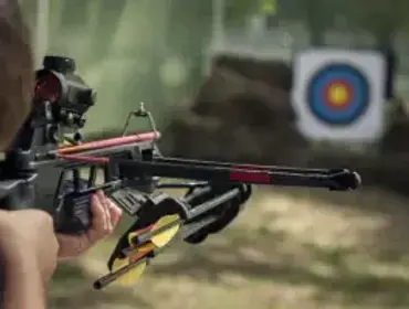 category-m-weapons-crossbows-qld.webp