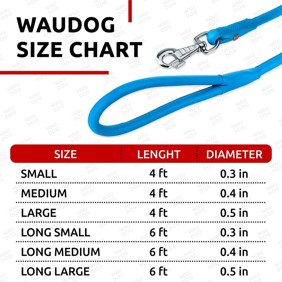 Thumbnail: Blue Rolled Leather Dog Leash 6Ft x 0.5 in for Small Medium and Large Dogs