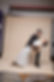 IMG_4164.jpeg