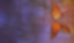 Kimbobackground3.jpg