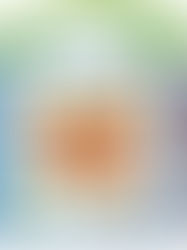 Leap Frog Learning Friends 100 Words Book (Bilingual English-French)