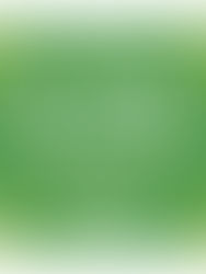 Bubly Sparkling Water Lime Bubly