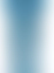 Dexas MudBuster Portable Dog Paw Cleaner