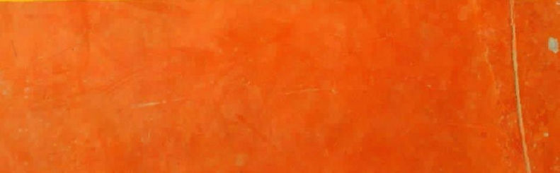 241115154_10165550230335285_3703205971994089271_n_edited.jpg
