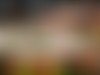 Borgoña + Verde Bosque: La Paleta que Domina el 72% de los Montajes Invernales