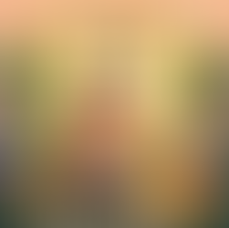 🌵 失敗也是一種資產!矽谷大佬的「失敗學」 📉