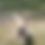 Thumbnail: Andy