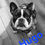 Thumbnail: Hugo