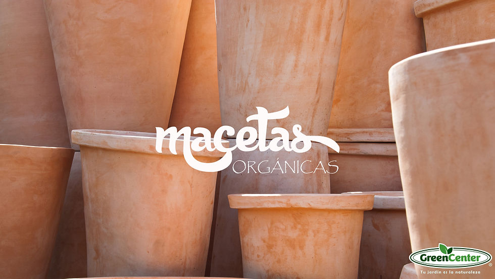 MACETAS ORGANICAS