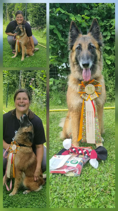 Obedience Turnier 2. Platz 