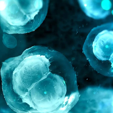 “Cobre contra o cancro: Nova terapia é 100 vezes mais potente”