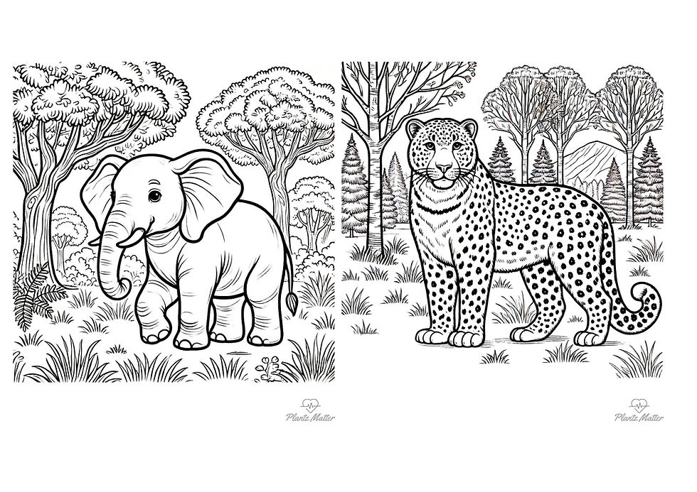 Two coloring pages Asian elephant and amur leopard