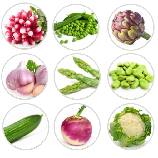 Miniature : Série Légumes d'Eté