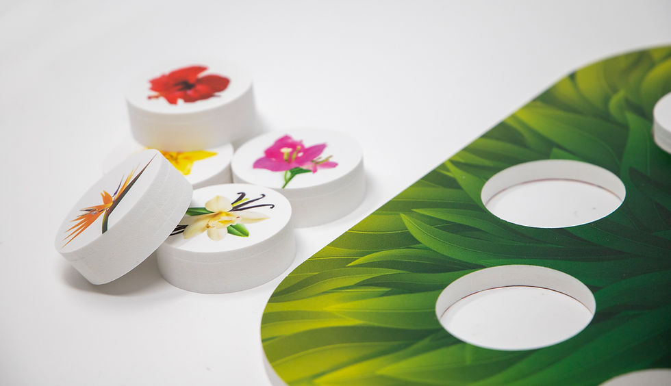 Miniature : Série Fleurs Exotiques