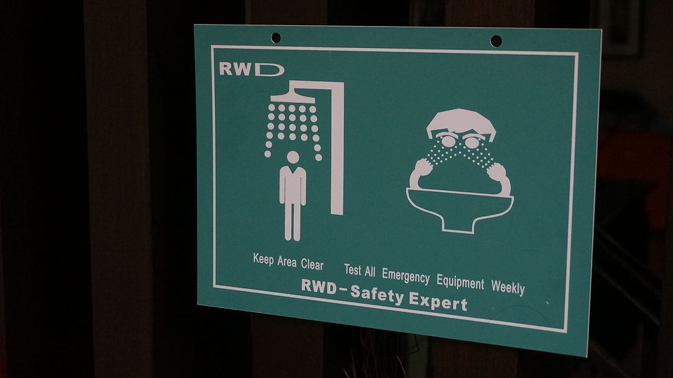 Thumbnail: Emergency Shower ESA38FR