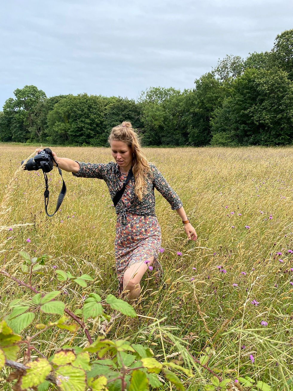 Foredrag med Lea Korsgaard: Sommerfugle
