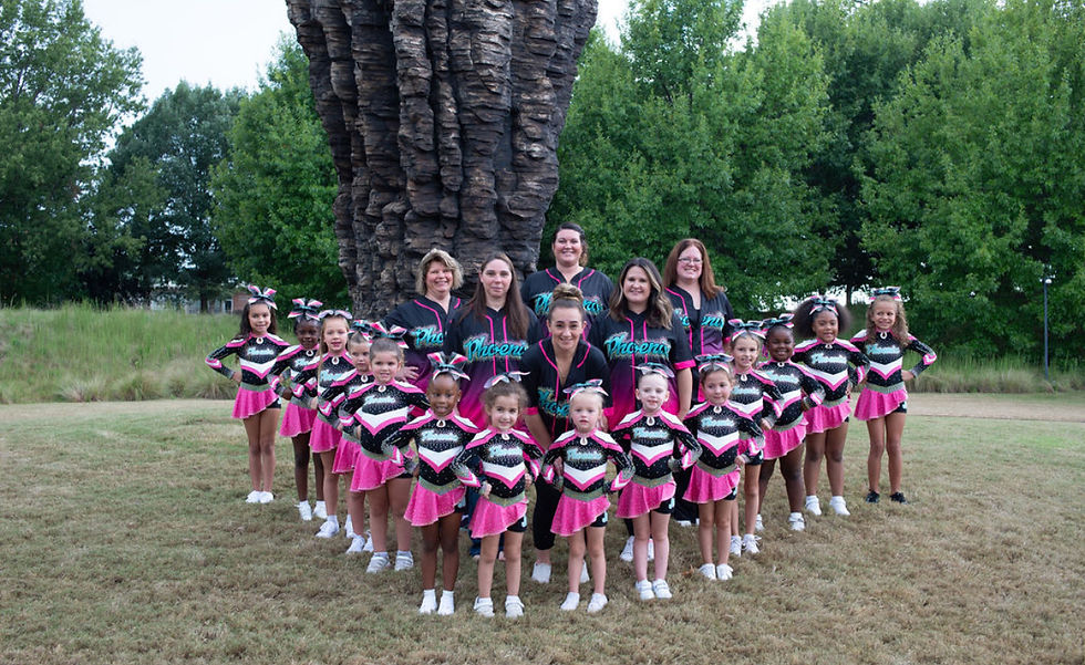 Johnston County NC youth cheerleading.jpg