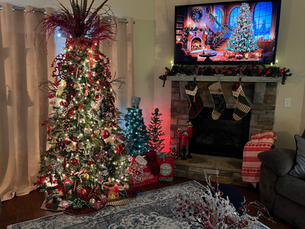 Neither Snow Nor Rain Nor Open Heart Surgeon Shall Keep Her From Making Our House Fun At Christmas Time!