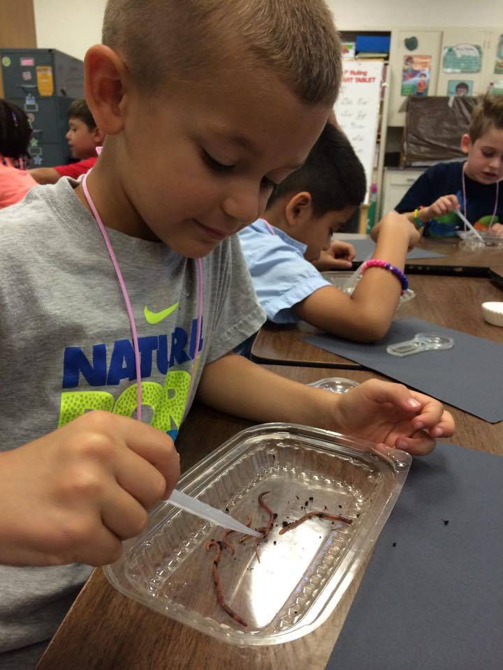 11140143_1607439656170767_3148791887476243528_n