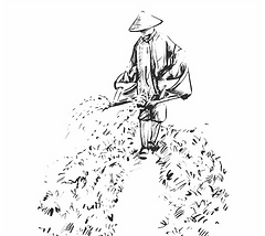 drawing-of-a-vietnamese-farmer-giving-th