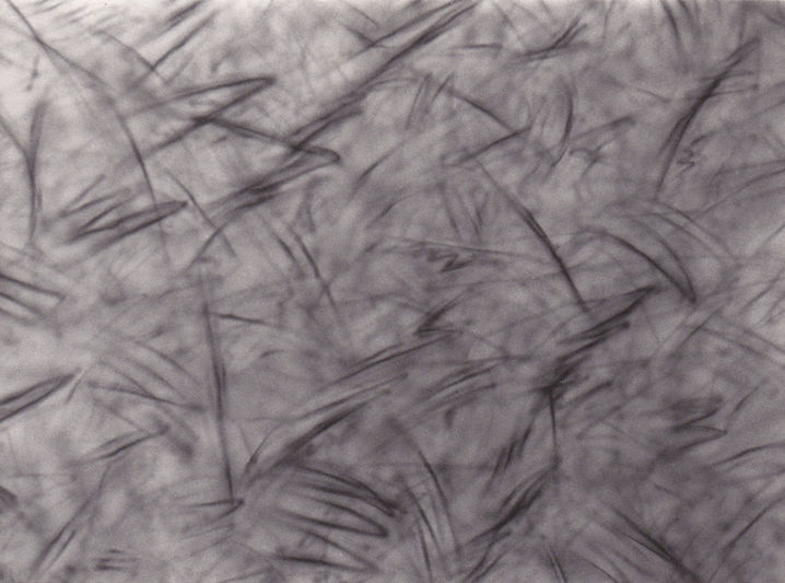 Acrylic And Airbrush Paintings3_aldoschmid_1981_150x210cm.jpg