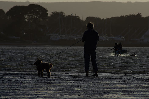 DSC_0512.jpg