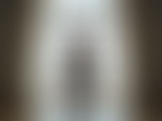 Why Natural Light Elevates Portraits