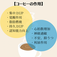 栄養vol.5 コーヒーと私