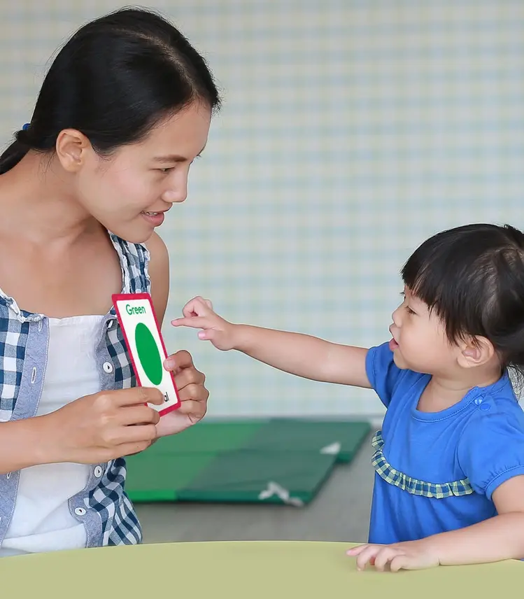 Thumbnail: Toddler Colors & Shapes Flash Cards – P Early Education