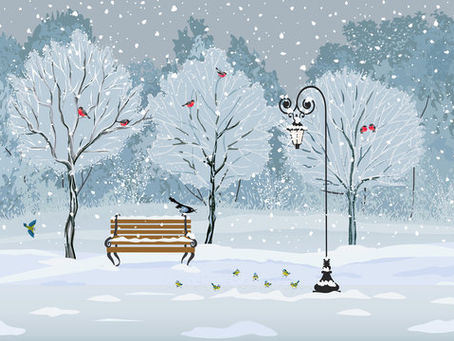 7 Minute Guided Visualization: Winter Day