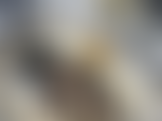 photo d'une daurade peche du jour à la table d'augustine