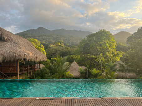 vue sur la piscine et le bar en bambou du senda watapuy de tayrona