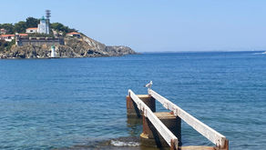 vue depuis la terrasse du poisson rouge au bout du port commercial de port vendres