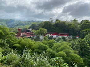 la distillerie JM se dégageant des arbres par la route d'arrivée qui la surplombe